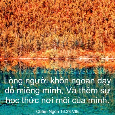 Picture 03 - Châm Ngôn 16:23 VIE - Lòng người khôn ngoan dạy dỗ miệng - Bible Verse Picture