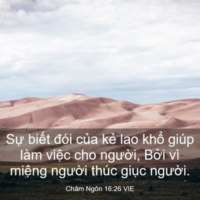 Picture 03 - Châm Ngôn 16:26 VIE - Sự biết đói của kẻ lao khổ giúp làm - Bible Verse Picture