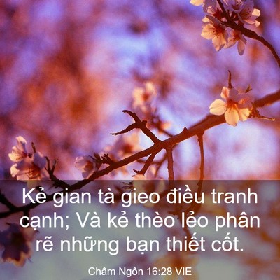 Picture 03 - Châm Ngôn 16:28 VIE - Kẻ gian tà gieo điều tranh cạnh; Và kẻ - Bible Verse Picture