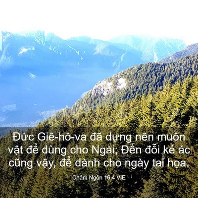 Picture 03 - Châm Ngôn 16:4 VIE - Đức Giê-hô-va đã dựng nên muôn vật - Bible Verse Picture
