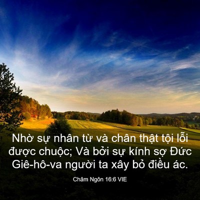 Picture 03 - Châm Ngôn 16:6 VIE - Nhờ sự nhân từ và chân thật tội - Bible Verse Picture