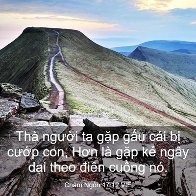 Picture 03 - Châm Ngôn 17:12 VIE - Thà người ta gặp gấu cái bị cướp - Bible Verse Picture