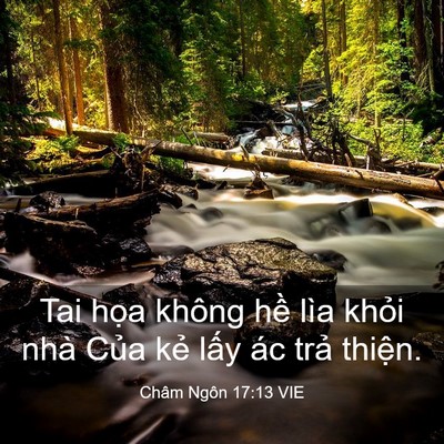 Picture 03 - Châm Ngôn 17:13 VIE - Tai họa không hề lìa khỏi nhà Của kẻ - Bible Verse Picture