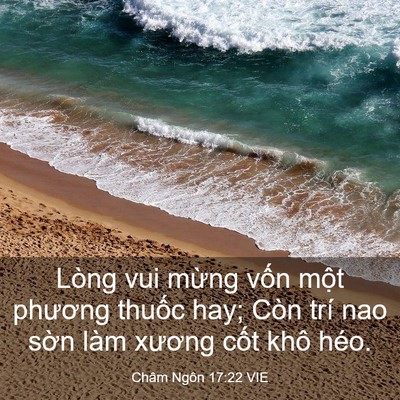 Picture 03 - Châm Ngôn 17:22 VIE - Lòng vui mừng vốn một phương thuốc - Bible Verse Picture