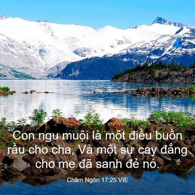 Picture 03 - Châm Ngôn 17:25 VIE - Con ngu muội là một điều buồn rầu cho - Bible Verse Picture