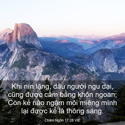 Picture 03 - Châm Ngôn 17:28 VIE - Khi nín lặng, dầu người ngu dại, cũng - Bible Verse Picture