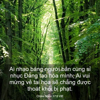 Picture 03 - Châm Ngôn 17:5 VIE - Ai nhạo báng người bần cùng sỉ nhục - Bible Verse Picture