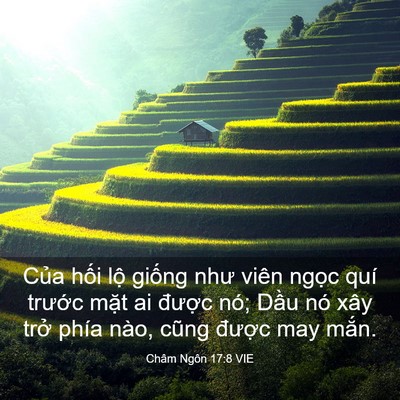 Picture 03 - Châm Ngôn 17:8 VIE - Của hối lộ giống như viên ngọc quí - Bible Verse Picture