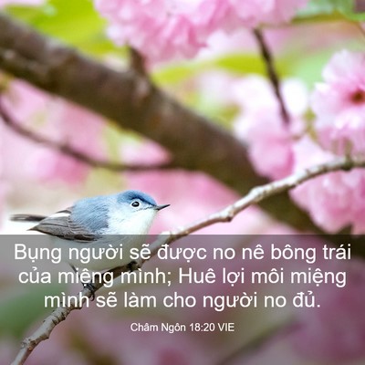 Picture 03 - Châm Ngôn 18:20 VIE - Bụng người sẽ được no nê bông trái - Bible Verse Picture