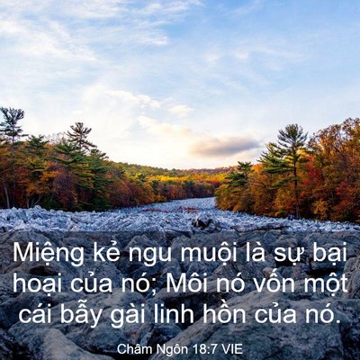 Picture 03 - Châm Ngôn 18:7 VIE - Miệng kẻ ngu muội là sự bại hoại - Bible Verse Picture
