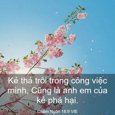 Picture 03 - Châm Ngôn 18:9 VIE - Kẻ thả trôi trong công việc mình, Cũng - Bible Verse Picture