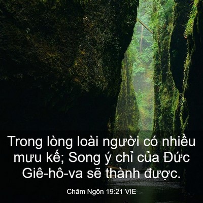 Picture 03 - Châm Ngôn 19:21 VIE - Trong lòng loài người có nhiều mưu kế; - Bible Verse Picture