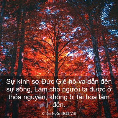 Picture 03 - Châm Ngôn 19:23 VIE - Sự kính sợ Đức Giê-hô-va dẫn đến - Bible Verse Picture