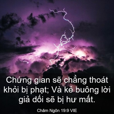 Picture 03 - Châm Ngôn 19:9 VIE - Chứng gian sẽ chẳng thoát khỏi bị - Bible Verse Picture