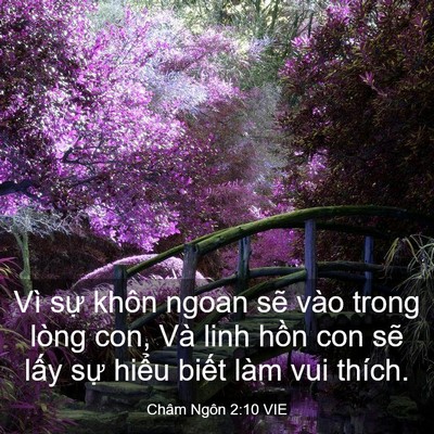 Picture 03 - Châm Ngôn 2:10 VIE - Vì sự khôn ngoan sẽ vào trong lòng con, - Bible Verse Picture
