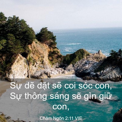 Picture 03 - Châm Ngôn 2:11 VIE - Sự dẽ dặt sẽ coi sóc con, Sự thông - Bible Verse Picture