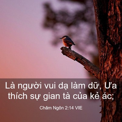 Picture 03 - Châm Ngôn 2:14 VIE - Là người vui dạ làm dữ, Ưa thích sự - Bible Verse Picture