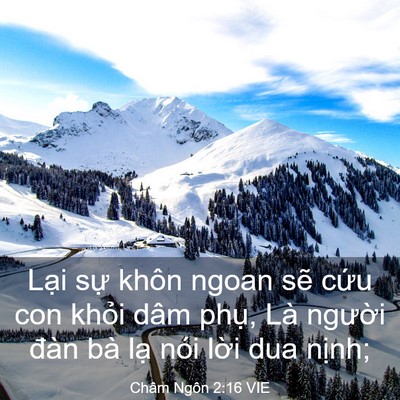 Picture 03 - Châm Ngôn 2:16 VIE - Lại sự khôn ngoan sẽ cứu con khỏi dâm - Bible Verse Picture