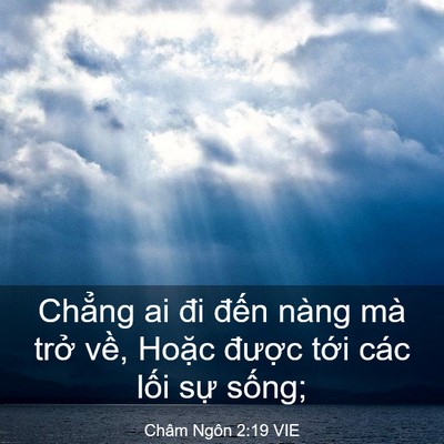 Picture 03 - Châm Ngôn 2:19 VIE - Chẳng ai đi đến nàng mà trở về, - Bible Verse Picture