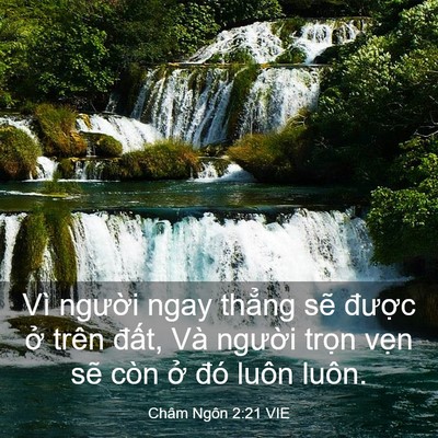 Picture 03 - Châm Ngôn 2:21 VIE - Vì người ngay thẳng sẽ được ở trên - Bible Verse Picture