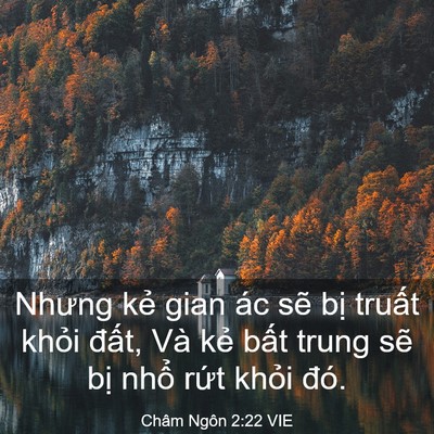 Picture 03 - Châm Ngôn 2:22 VIE - Nhưng kẻ gian ác sẽ bị truất khỏi - Bible Verse Picture