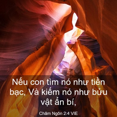 Picture 03 - Châm Ngôn 2:4 VIE - Nếu con tìm nó như tiền bạc, Và kiếm - Bible Verse Picture