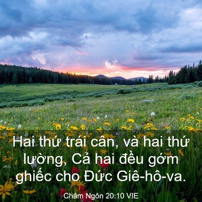 Picture 03 - Châm Ngôn 20:10 VIE - Hai thứ trái cân, và hai thứ lường, - Bible Verse Picture