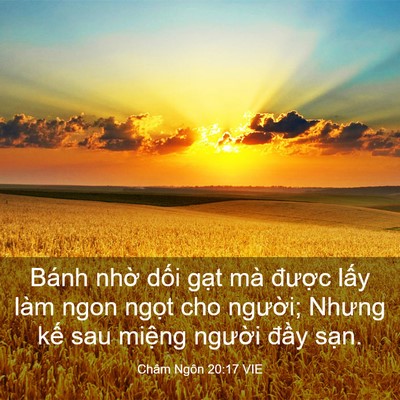 Picture 03 - Châm Ngôn 20:17 VIE - Bánh nhờ dối gạt mà được lấy làm - Bible Verse Picture