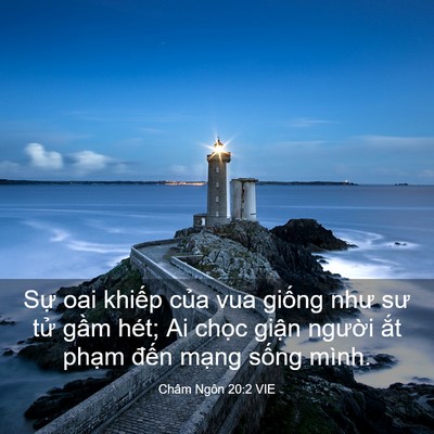 Picture 03 - Châm Ngôn 20:2 VIE - Sự oai khiếp của vua giống như sư tử - Bible Verse Picture