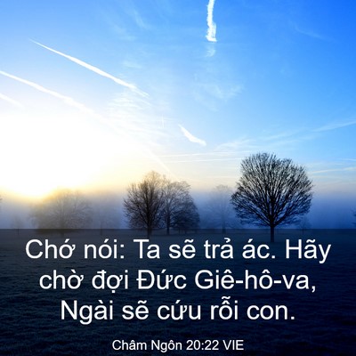 Picture 03 - Châm Ngôn 20:22 VIE - Chớ nói: Ta sẽ trả ác. Hãy chờ đợi - Bible Verse Picture