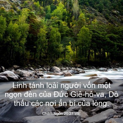 Picture 03 - Châm Ngôn 20:27 VIE - Linh tánh loài người vốn một ngọn - Bible Verse Picture