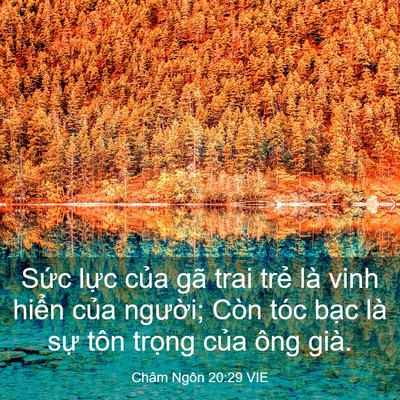 Picture 03 - Châm Ngôn 20:29 VIE - Sức lực của gã trai trẻ là vinh hiển - Bible Verse Picture