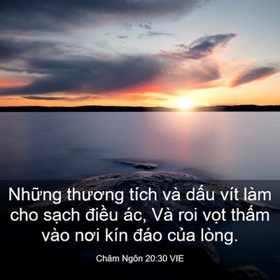 Picture 03 - Châm Ngôn 20:30 VIE - Những thương tích và dấu vít làm cho - Bible Verse Picture