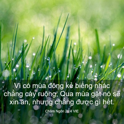 Picture 03 - Châm Ngôn 20:4 VIE - Vì có mùa đông kẻ biếng nhác chẳng - Bible Verse Picture