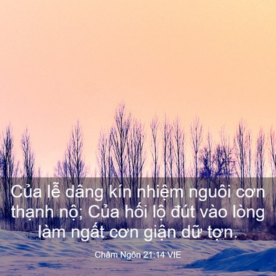 Picture 03 - Châm Ngôn 21:14 VIE - Của lễ dâng kín nhiệm nguôi cơn thạnh - Bible Verse Picture
