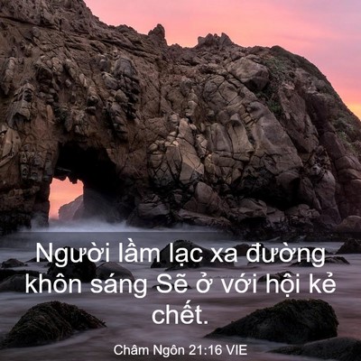 Picture 03 - Châm Ngôn 21:16 VIE - Người lầm lạc xa đường khôn sáng - Bible Verse Picture