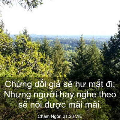 Picture 03 - Châm Ngôn 21:28 VIE - Chứng dối giả sẽ hư mất đi; Nhưng - Bible Verse Picture