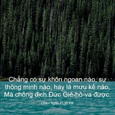 Picture 03 - Châm Ngôn 21:30 VIE - Chẳng có sự khôn ngoan nào, sự thông - Bible Verse Picture