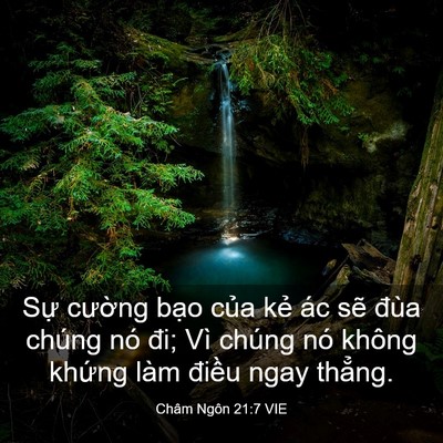 Picture 03 - Châm Ngôn 21:7 VIE - Sự cường bạo của kẻ ác sẽ đùa - Bible Verse Picture