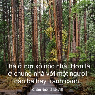 Picture 03 - Châm Ngôn 21:9 VIE - Thà ở nơi xó nóc nhà, Hơn là ở chung - Bible Verse Picture