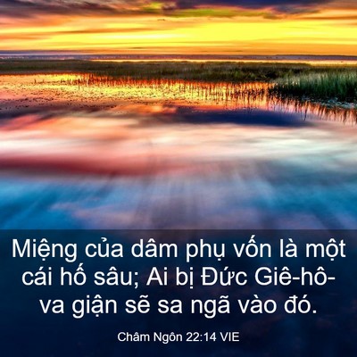 Picture 03 - Châm Ngôn 22:14 VIE - Miệng của dâm phụ vốn là một cái - Bible Verse Picture