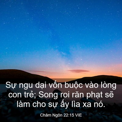 Picture 03 - Châm Ngôn 22:15 VIE - Sự ngu dại vốn buộc vào lòng con trẻ; - Bible Verse Picture