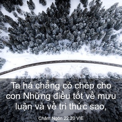 Picture 03 - Châm Ngôn 22:20 VIE - Ta há chẳng có chép cho con Những điều - Bible Verse Picture