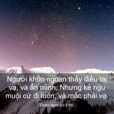 Picture 03 - Châm Ngôn 22:3 VIE - Người khôn ngoan thấy điều tai vạ, và - Bible Verse Picture