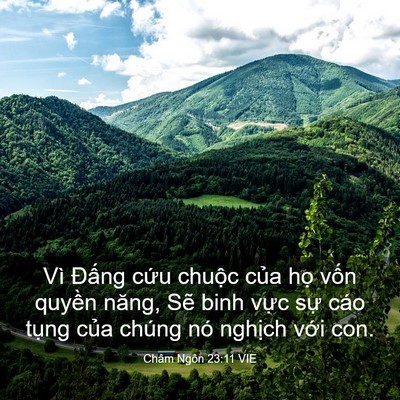 Picture 03 - Châm Ngôn 23:11 VIE - Vì Đấng cứu chuộc của họ vốn - Bible Verse Picture