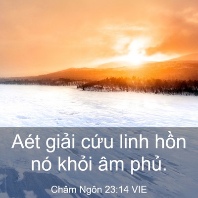 Picture 03 - Châm Ngôn 23:14 VIE - Aét giải cứu linh hồn nó khỏi âm - Bible Verse Picture