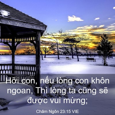 Picture 03 - Châm Ngôn 23:15 VIE - Hỡi con, nếu lòng con khôn ngoan, Thì - Bible Verse Picture