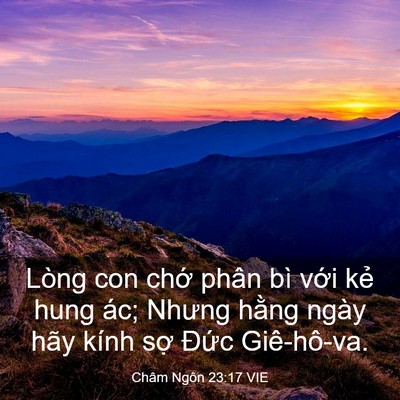 Picture 03 - Châm Ngôn 23:17 VIE - Lòng con chớ phân bì với kẻ hung ác; - Bible Verse Picture