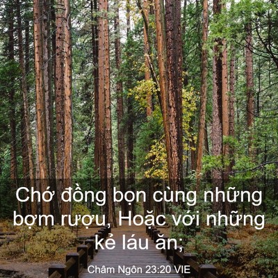 Picture 03 - Châm Ngôn 23:20 VIE - Chớ đồng bọn cùng những bợm rượu, - Bible Verse Picture