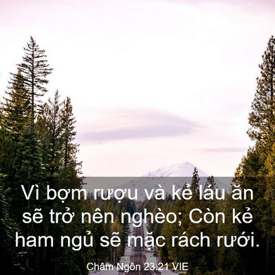 Picture 03 - Châm Ngôn 23:21 VIE - Vì bợm rượu và kẻ láu ăn sẽ trở - Bible Verse Picture